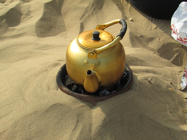 Tea-kettle-kerala-homemaker3